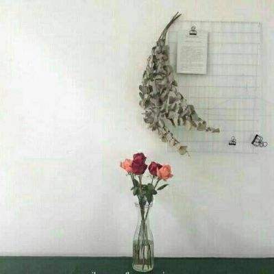 逆鳞传说破解版下载