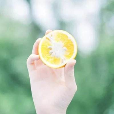 放置牧语小游戏红包版下载